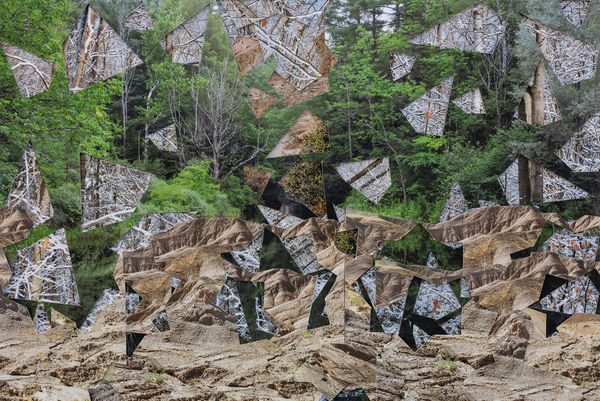 Gohar Dashti, Untitled #6, 2023