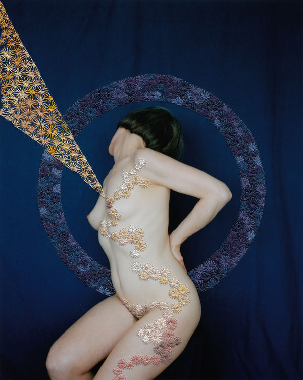 Jessa Fairbrother, Coordinate I, 2019