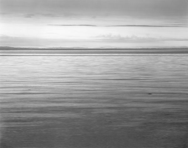 Nicholas Hughes, Verse II, #8, 2018