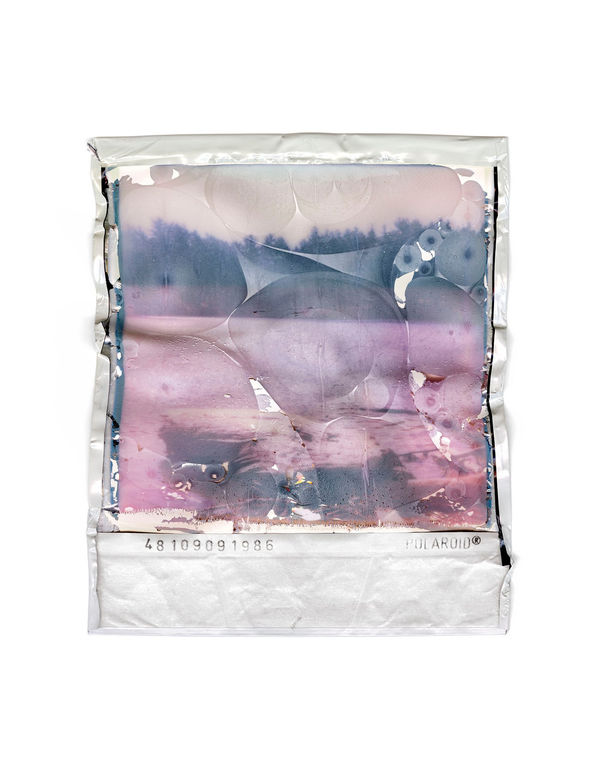 Gohar Dashti, Disappearing Nature #7, 2022