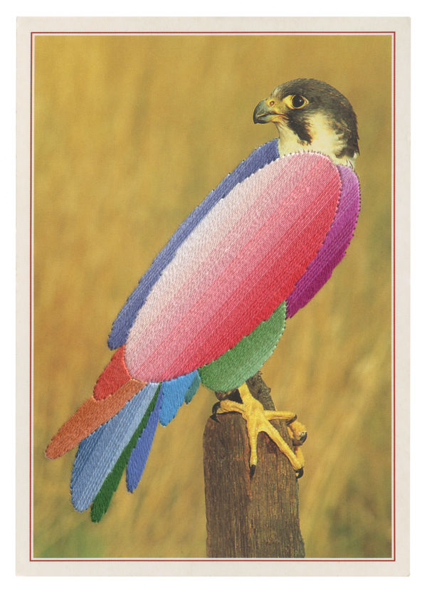 Julie Cockburn, Falcon 1, 2023