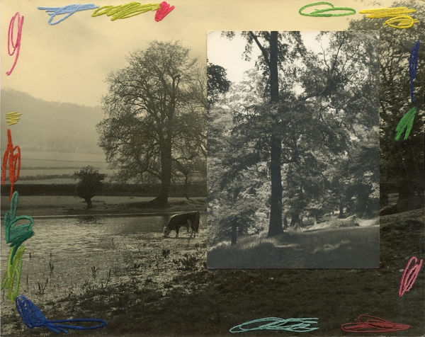 Julie Cockburn, Clearing 2, 2020