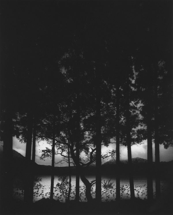 Pentti Sammallahti Lake Numakawa, Japan, 2005 Series: Highlights