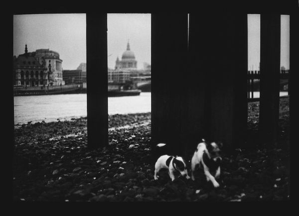 Giacomo Brunelli, Untitled 03, 2012-2014