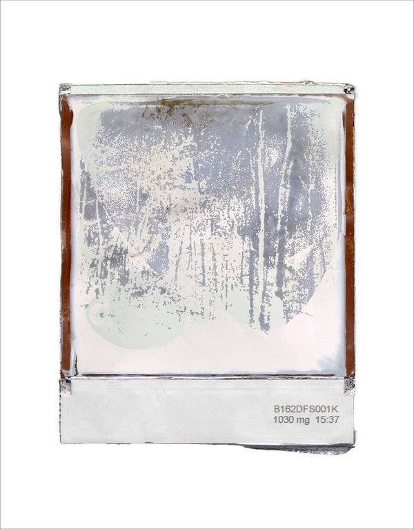 Gohar Dashti, Disappearing Nature #5, 2022