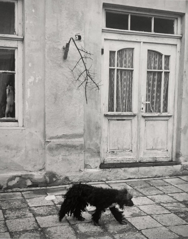 Pentti Sammallahti, Belogradchik, Bulgaria, 2003