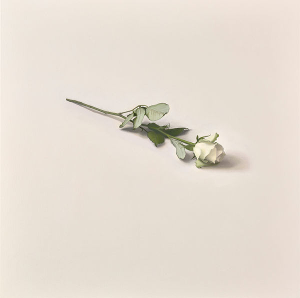 Alison Watt, Plain, 2021