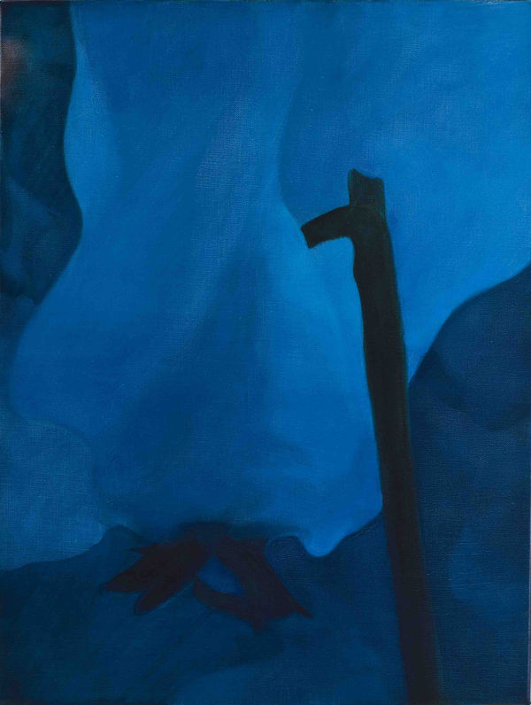 Orsina Sforza, Ciclamino, 2009