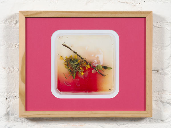 Jude Abu Zaineh, de(composition) #3, 2022