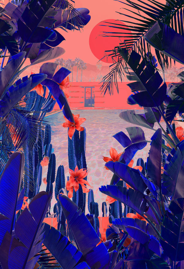 Stylised photograph by artist nadia attura depicting blue jungle leaves in the foreground and a pink sunset i the background. Turner Art Perspective, Essex Gallery
