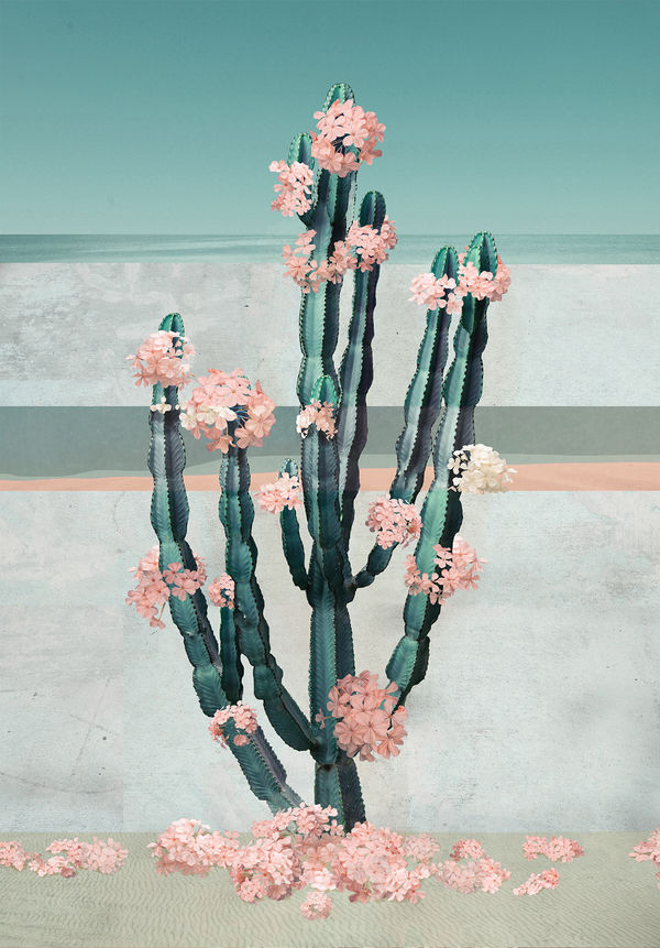print by artist nadia attura depicting haz beach with cactus and blossom. Turner Art Perspective, essex gallery