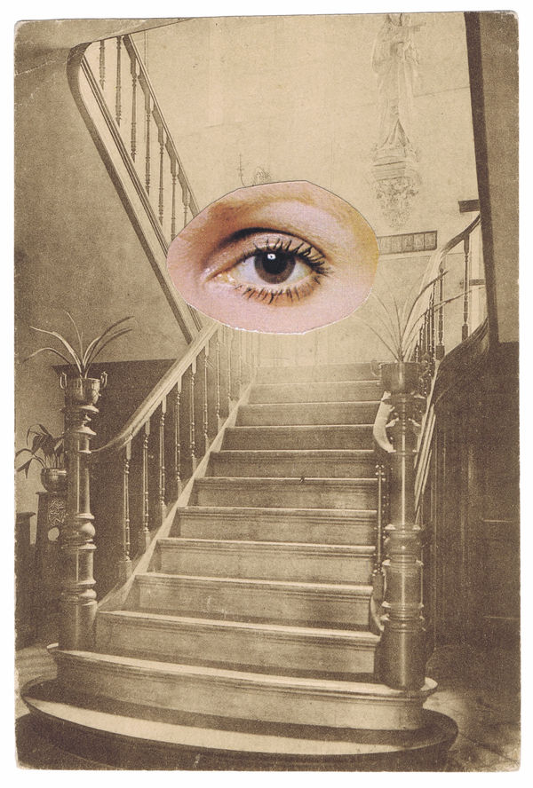 Nicolas Van Parys, Insight