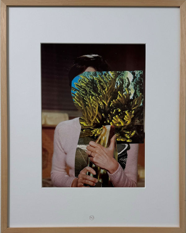 Nicolas Van Parys, Keep the Coral, 2019