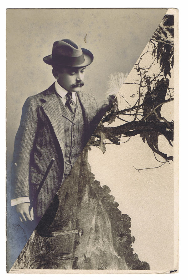 Nicolas Van Parys, ost Rich