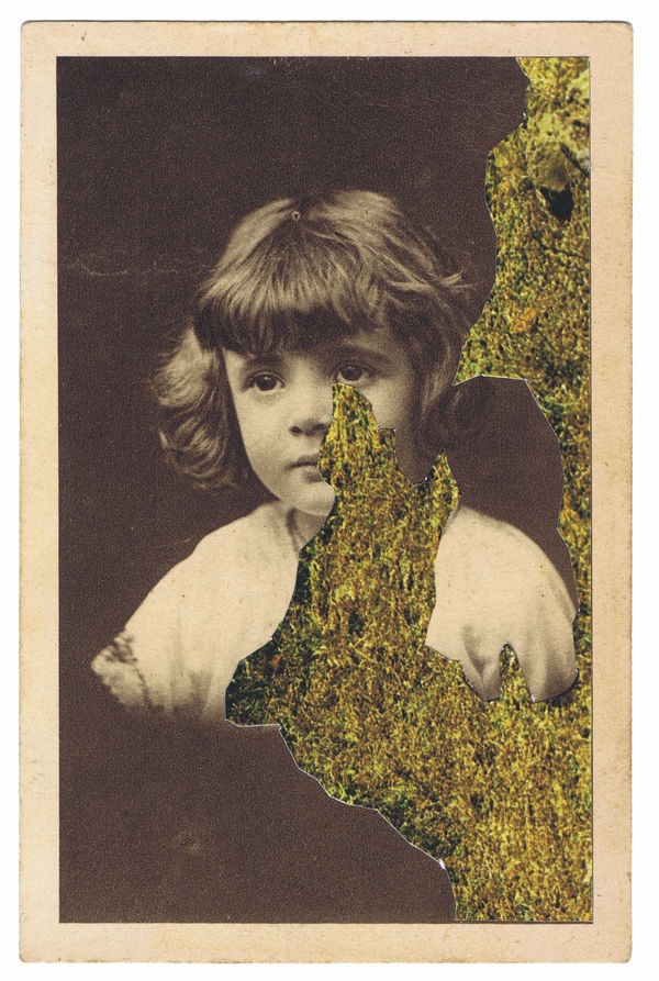 Nicolas Van Parys, tristessa