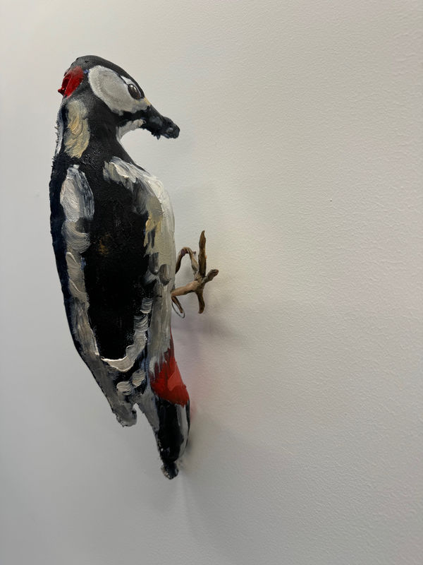 Guust Mathys, Specht, 2025