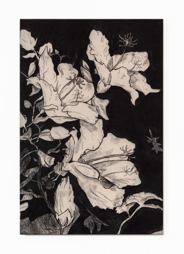 Benjamin Murphy Kari, 2022 Charcoal on canvas, fixed 120 x 80 cm