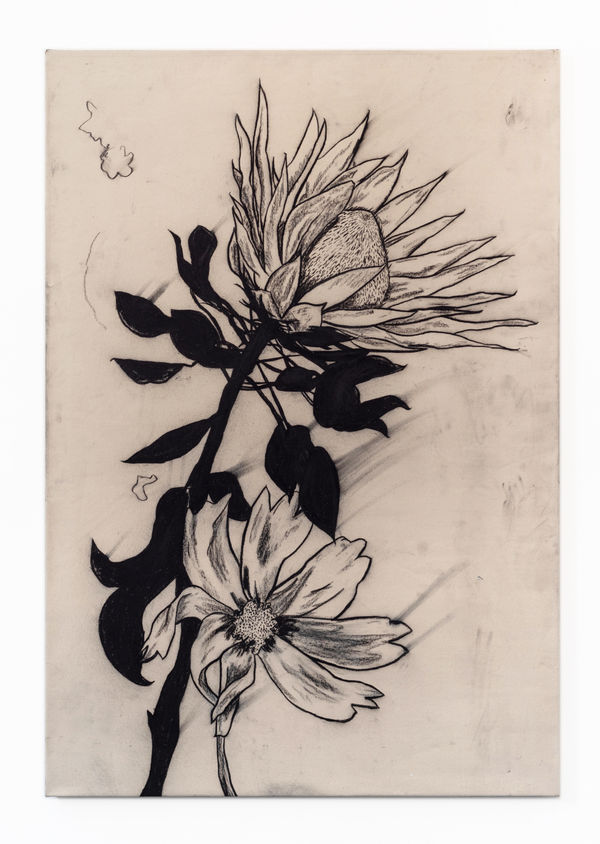 Benjamin Murphy Yin Flower , 2022 Charcoal on canvas, fixed 160 x 110 cm
