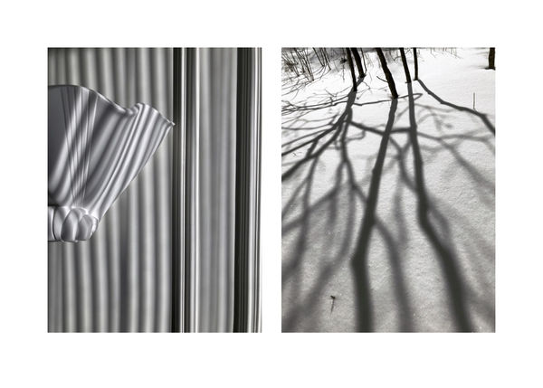 Sarah Dinnick, Diptych 20, 2021