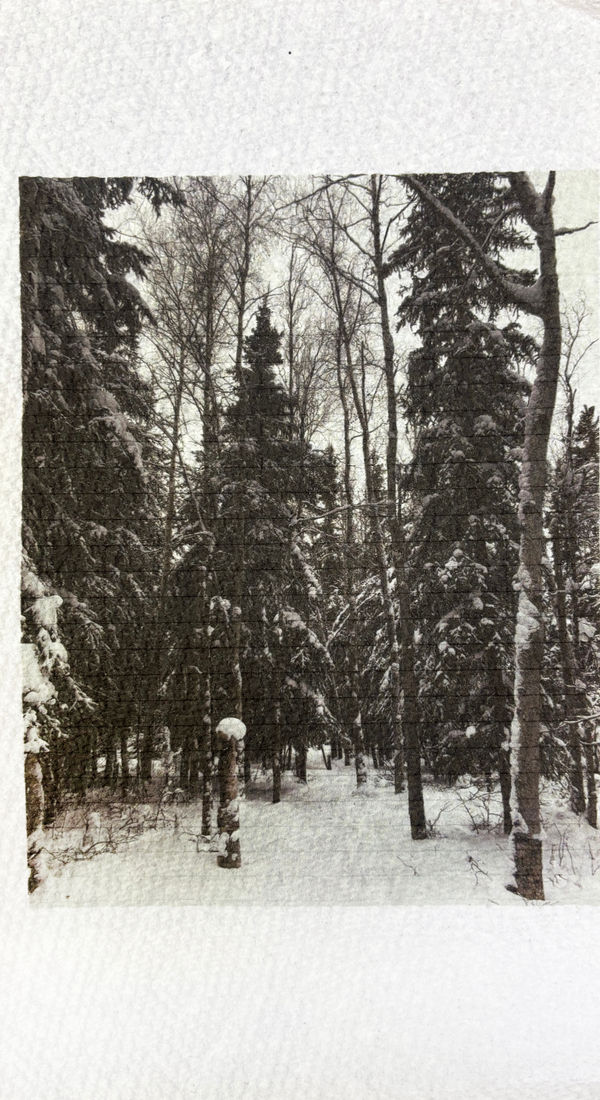 Jake Kimble, Pick It Up, Quick (łóna), 2025