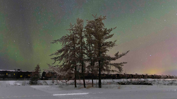 Jake Kimble, If I Could Crawl Into The Sky I Would, 2024