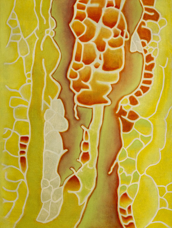 Karen Kar Yen Law, Melon Render No. 3, 2024