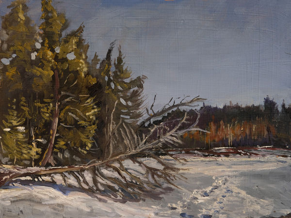 Chuck Beamish, Cold Morning, Cashe Lake, 2023