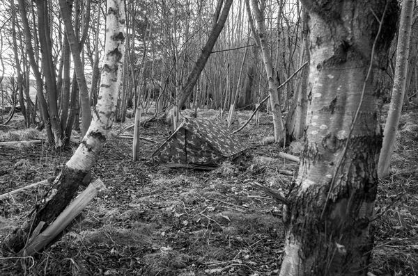 Kevin Harman, Tent 1, 2017