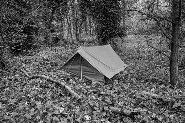 Kevin Harman, Tent 2, 2017