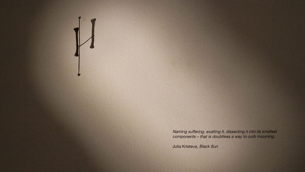 Catherine Menard, Lil Boney, 2024