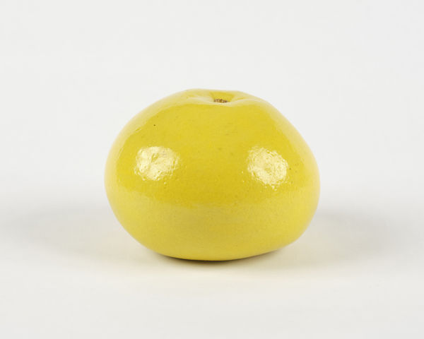 Alisa Ochoa, Grapefruit , 2024