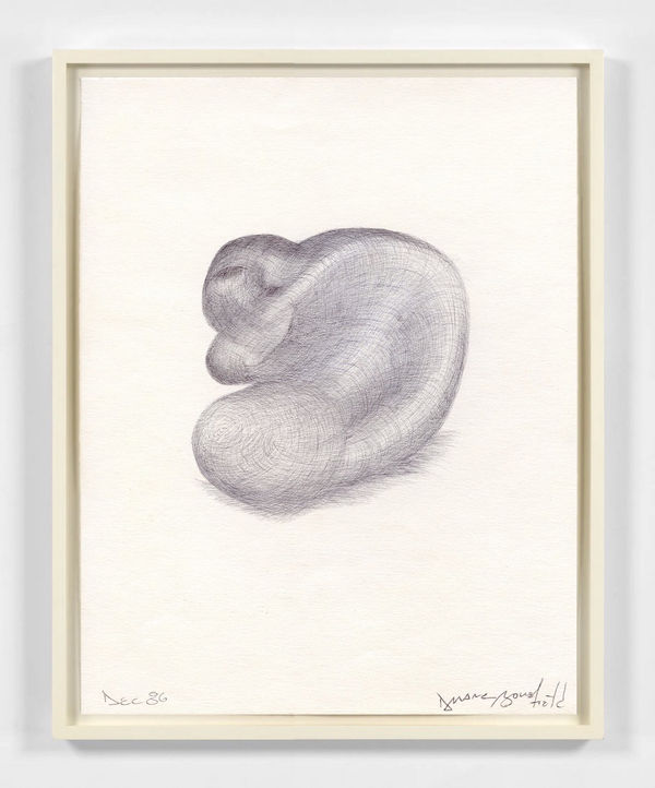 Duane Bousfield, Basket Case, 1986