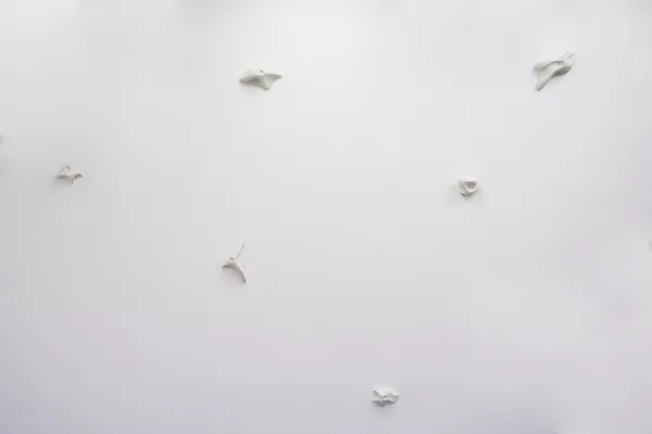 Julia Gault, Hors de Portée 2 , 2016