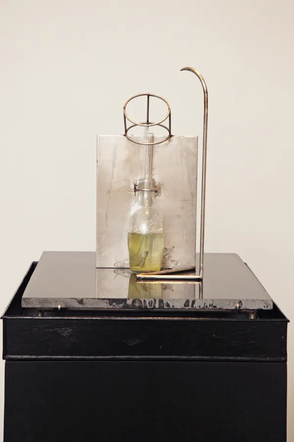 Susanta Mandal, It Doesnot Bite -II, 2007