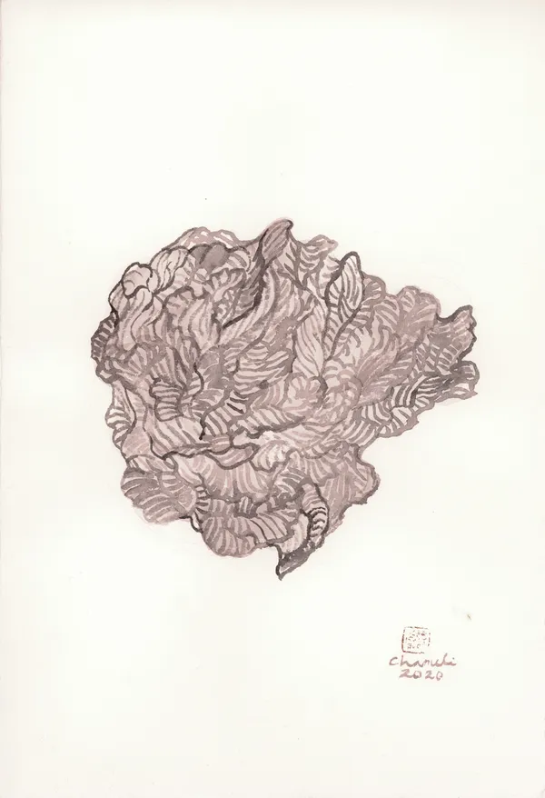 Chameli Ramachandran, Untitled, 2020