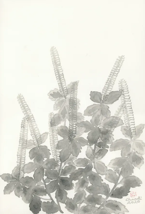 Chameli Ramachandran, Untitled, 2020