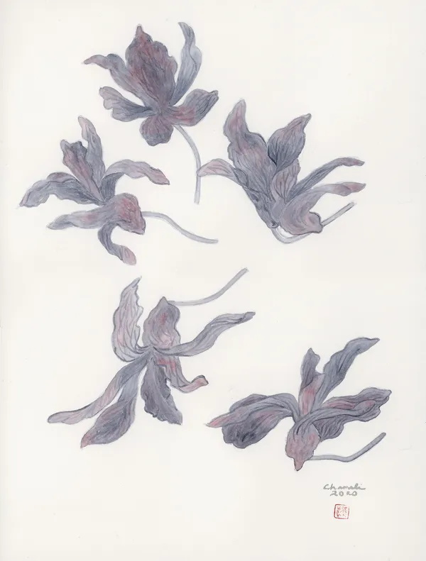 Chameli Ramachandran, Untitled, 2020