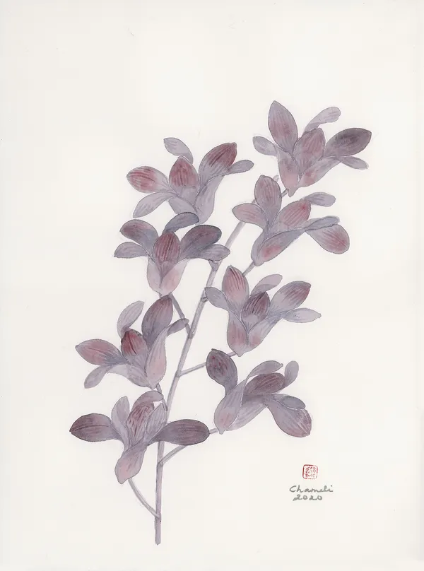 Chameli Ramachandran, Untitled, 2020