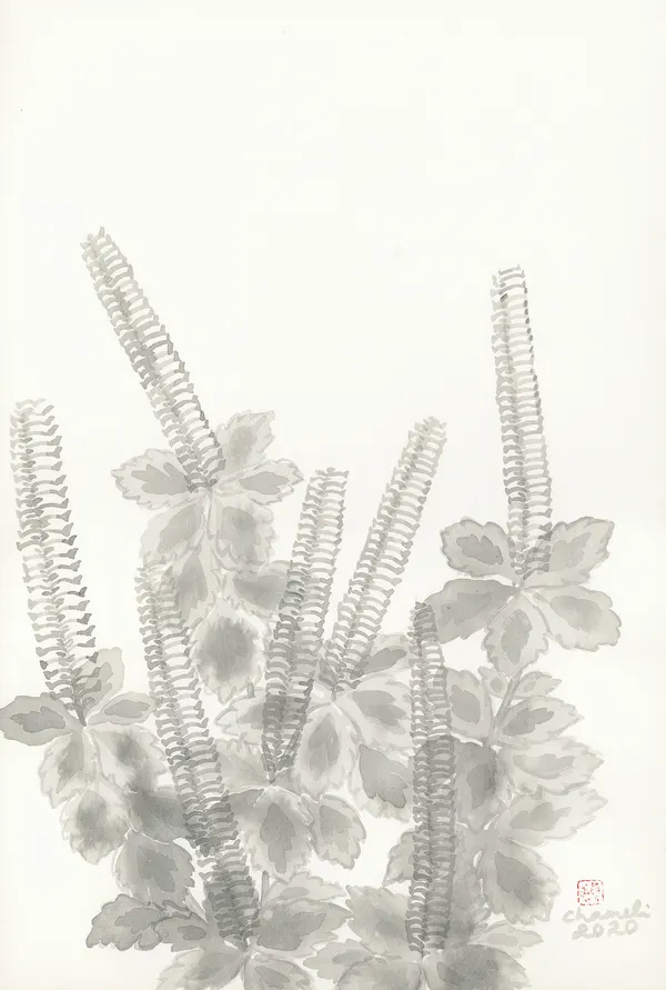 Chameli Ramachandran, Untitled, 2020