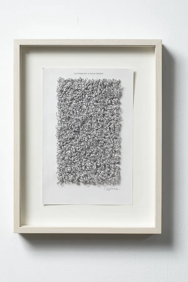 Youdhisthir Maharjan, Letters by a Half-Moon (P. 29) , 2021