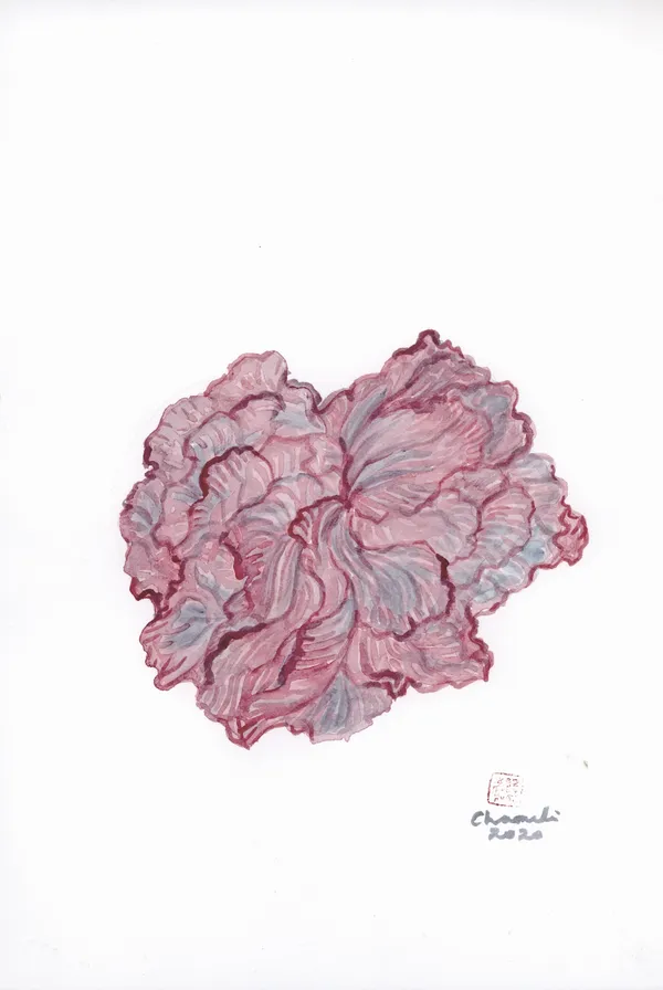 Chameli Ramachandran, Untitled, 2020