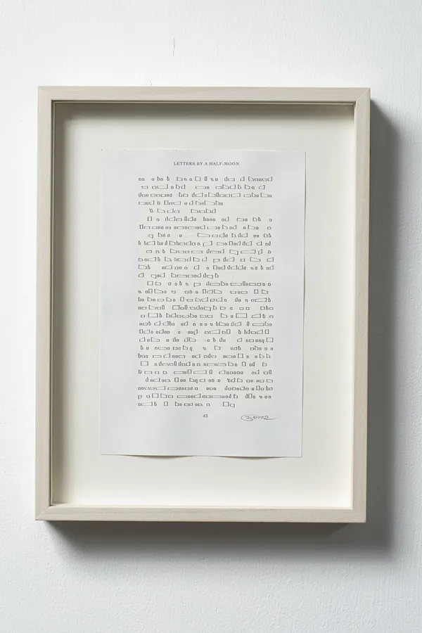 Youdhisthir Maharjan, Letters by a Half-Moon (P. 43) , 2021