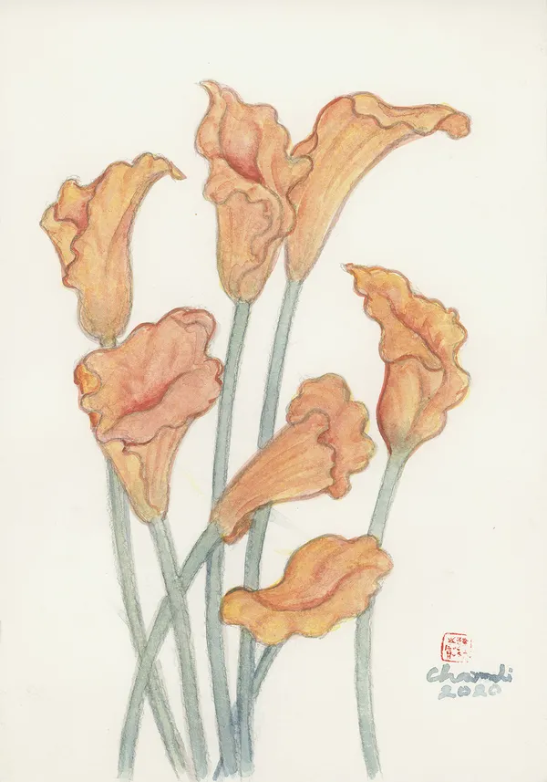 Chameli Ramachandran, Untitled, 2020