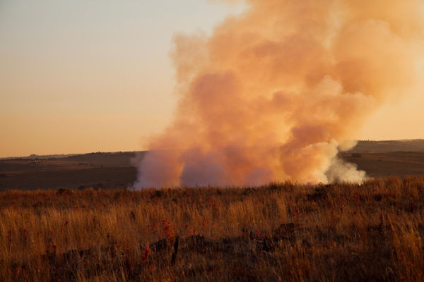 Atul Bhalla, Chair in the Landscape, 2013
