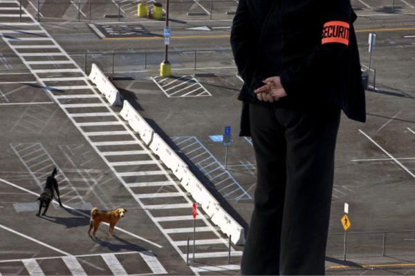 Rameshwar Broota, Between the lines (Edition A/P2)