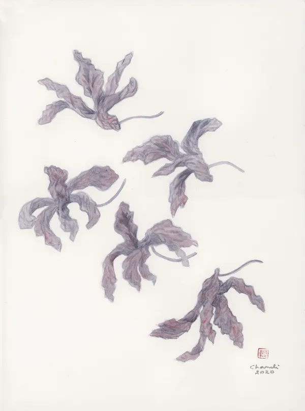 Chameli Ramachandran, Untitled, 2020