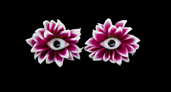 Juul Kraijer, Untitled photograph, 2023