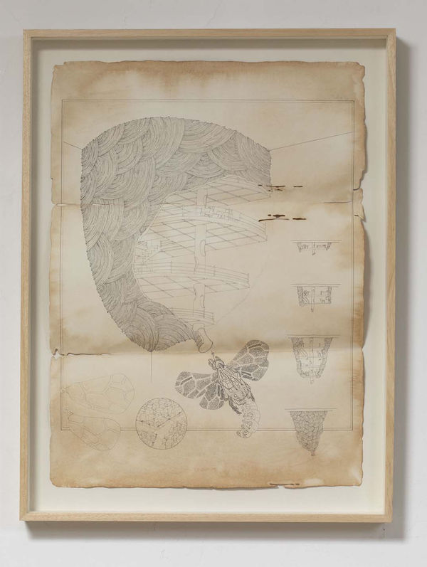 Sachin George Sebastian, Untitled, 2018