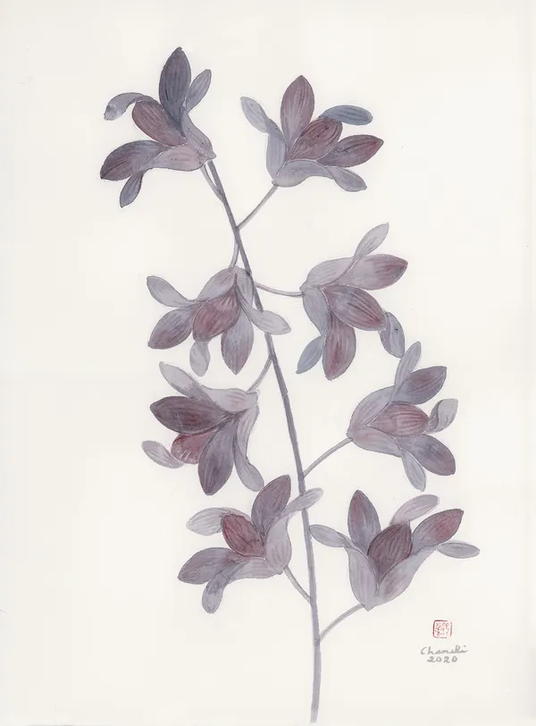 Chameli Ramachandran, Untitled, 2020