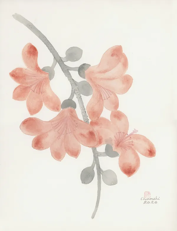 Chameli Ramachandran, Untitled, 2020